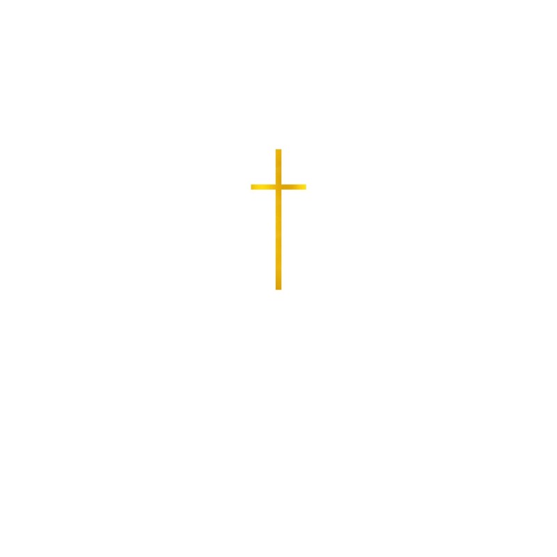 Lot de 10 Face Topper - CROIX FINE