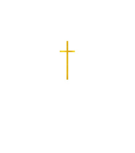 Lot de 10 Face Topper - CROIX FINE